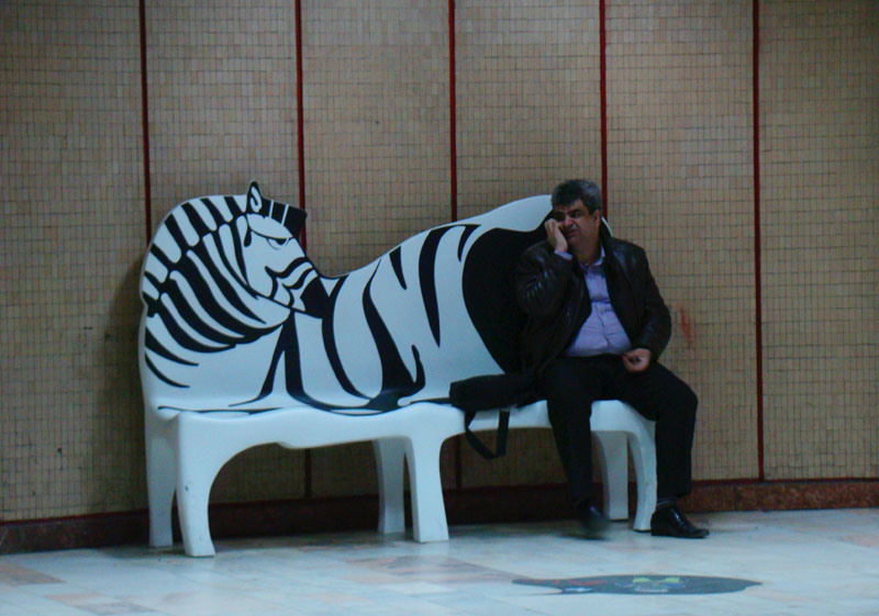 zebra-la-metrou