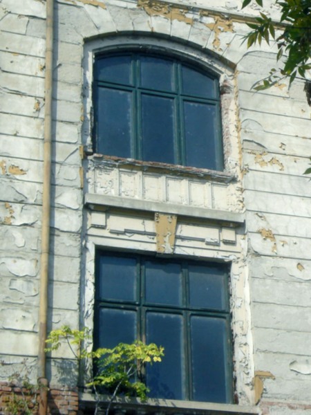 ferestre