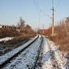 20090110_roby_30