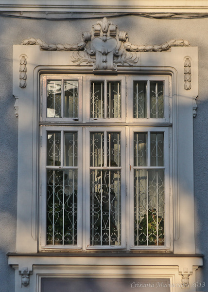 ferestre cu decoratii