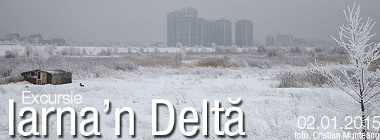 Iarna'n Delta