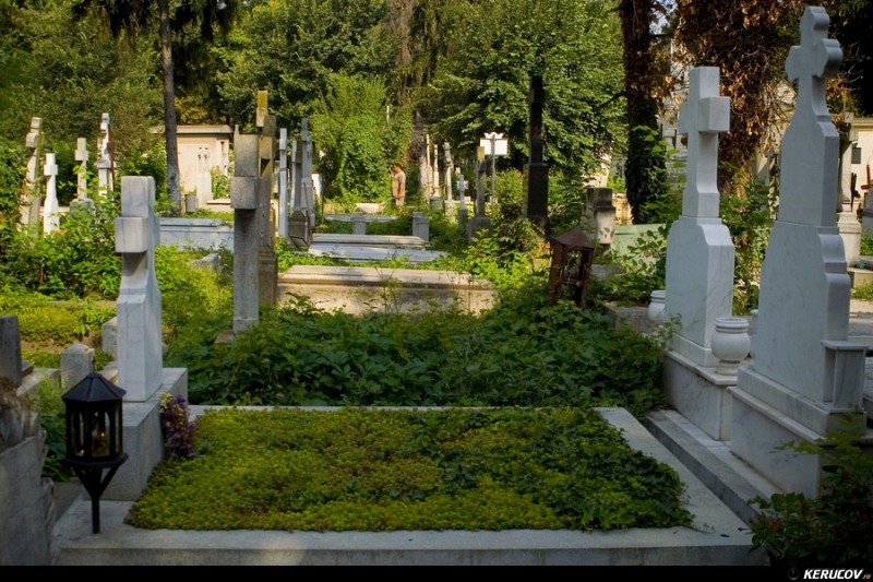 kerucov_cimitirul_bellu_100807_11