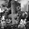 cimitirul-bellu-033-1