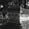 cimitirul-bellu-065_1