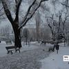 alexandru_voinescu_iarna